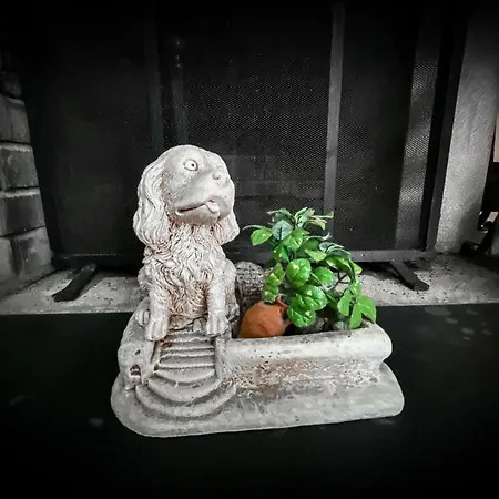 La Casa D'amelia Ceparana