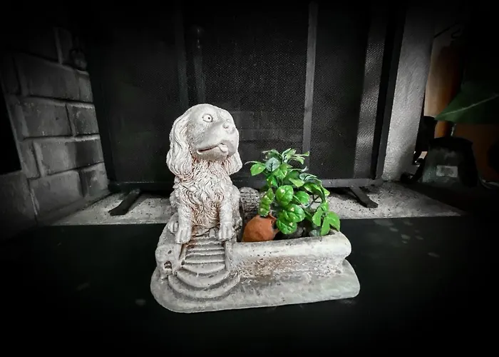 La Casa D'amelia Ceparana